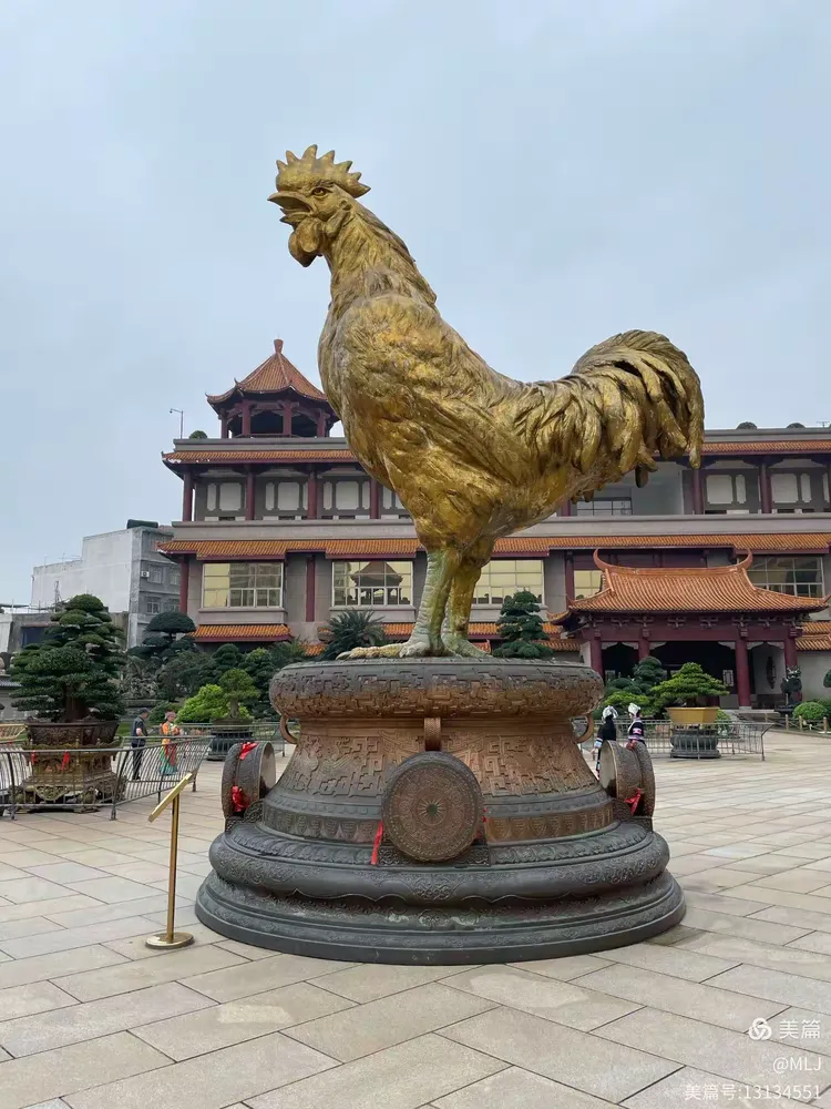 矗立在广场上的大公鸡在广场中央,分别耸立着一对18